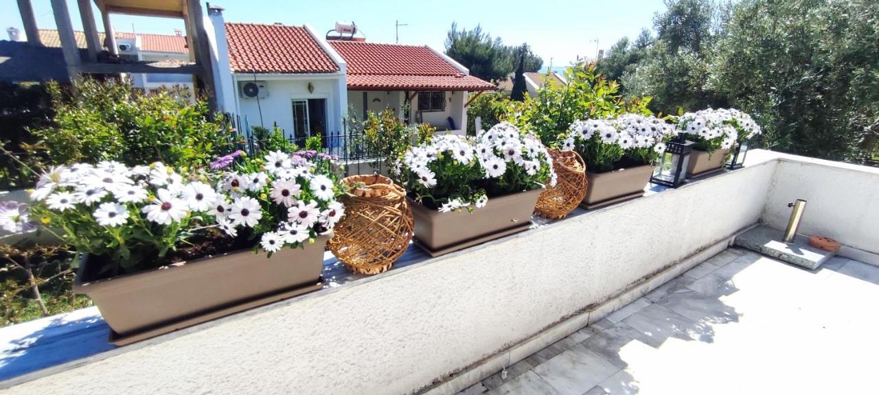 Villa Βianca In Sithonia Gerakini Exterior foto